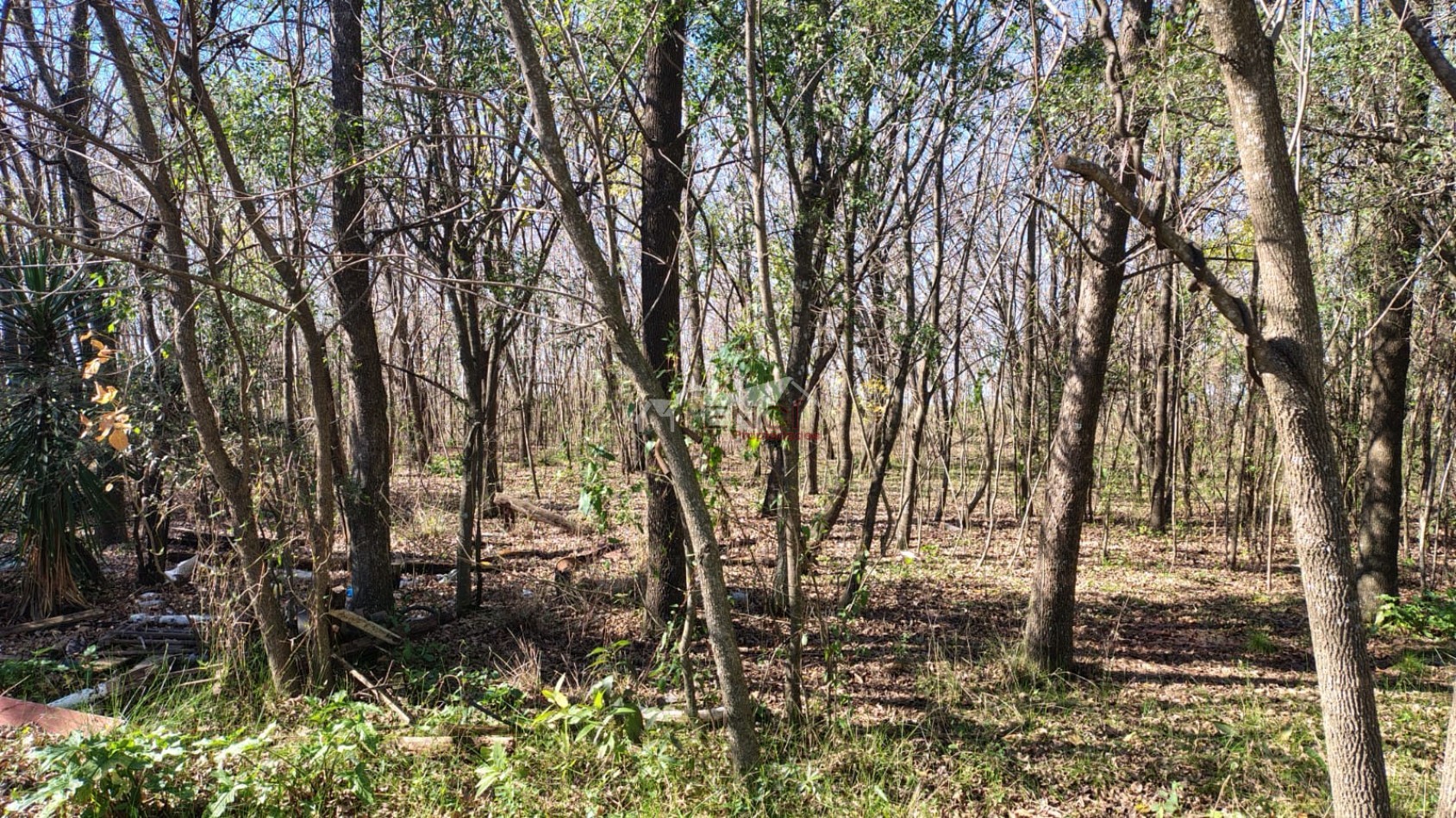 CAMPO EN VENTA 1.25 hectareas CONCEPCION DEL URUGUAY, ENTRE RIOS