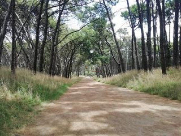 VENTA Lote Necochea