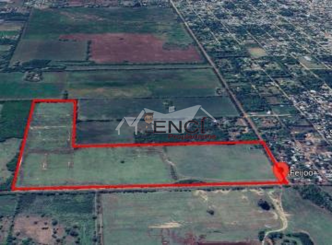 Lote 12 Hectareas En Venta Marcos Paz
